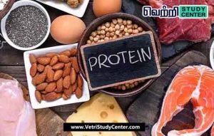 TNPSC Current Affairs - A proteinaceous substance
