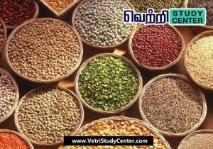 Vetri Study Center Current Affairs - Small Grains conference