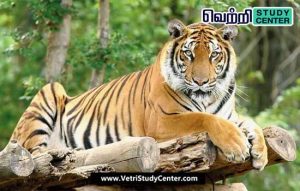 Vetri Study Center Current Affairs - Veerangana Durgavati Tiger Reserve