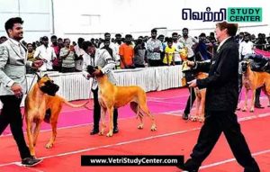 Vetri Study Center Current Affairs - Dog show
