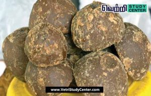 Vetri Study Center Current Affairs - Geocode for Panankarupatti