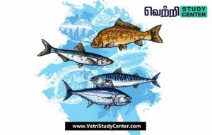 Vetri Study Center Current Affairs - (International Conference on Fisheries Management