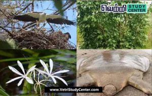 Vetri Study Center Current Affairs - Kasaragod- declare official tree, flower, bird, species