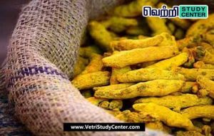 Vetri Study Center Current Affairs - National Termeric Board