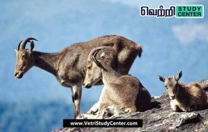 Vetri Study Center Current Affairs - Nilgiri Draft Project