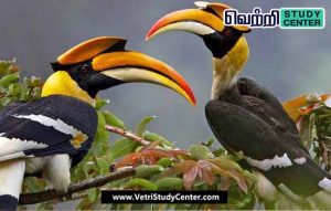 Vetri Study Center Current Affairs - Two-winged bird