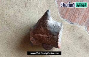 Vetri Study Center Current Affairs - bull - Vembakota
