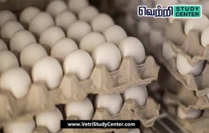 Vetri Study Center Current Affairs - Egg production