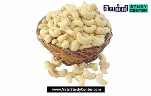 Vetri Study Center Current Affairs - Goa Cashew