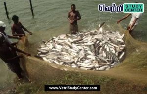 Vetri Study Center Current Affairs - Inland Fisheries - Uttar Pradesh
