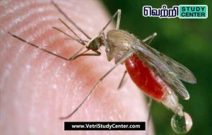 Vetri Study Center Current Affairs - Ixchiq vaccine