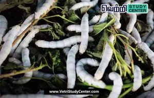 Vetri Study Center Current Affairs - Karunai Pattu