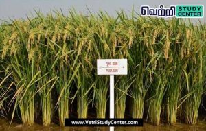 Vetri Study Center Current Affairs - PUSA 2090