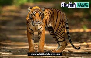 Vetri Study Center Current Affairs - Tiger Reserve