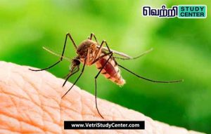 Vetri Study Center Current Affairs - Zika pest
