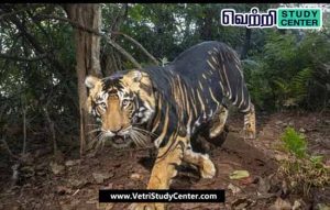 Vetri Study Center Current Affairs - Black Tiger
