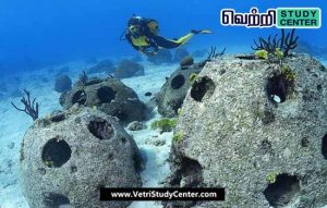Vetri Study Center Current Affairs - Artificial Reefs