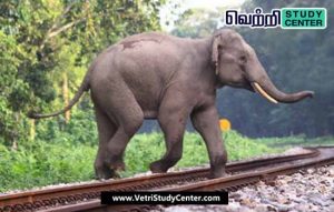 Vetri Study Center Current Affairs - Elephant Death