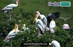 Vetri Study Center Current Affairs - Karaivetti Bird Sanctuary