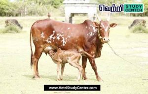 Vetri Study Center Current Affairs - Parkur Research Centre
