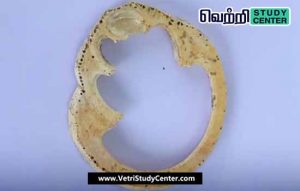 Vetri Study Center Current Affairs - vembakottai