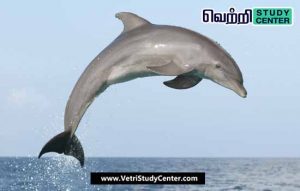Vetri Study Center Current Affairs - Dolphin census
