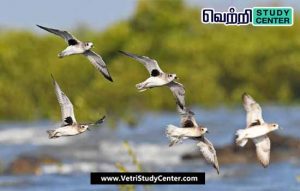 Vetri Study Center Current Affairs - Bird census
