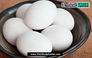 Vetri Study Center Current Affairs - EGG