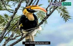 Vetri Study Center Current Affairs - iruvatchi paravai