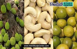 Vetri Study Center Current Affairs - GI TAG
