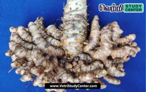 Vetri Study Center Current Affairs - IISR Surya