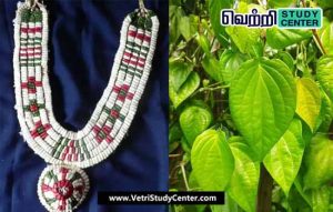 Vetri Study Center Current Affairs - Kumbakonam Vetrilai