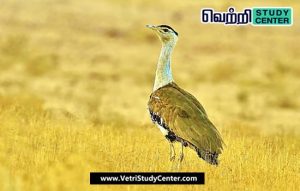 Vetri Study Center Current Affairs - Grassland bird census