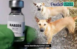Vetri Study Center Current Affairs - Dog bite