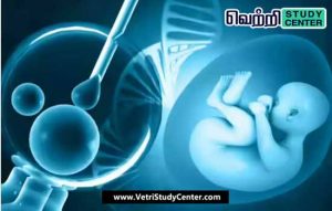 Vetri Study Center Current Affairs - India's Fertility Rate